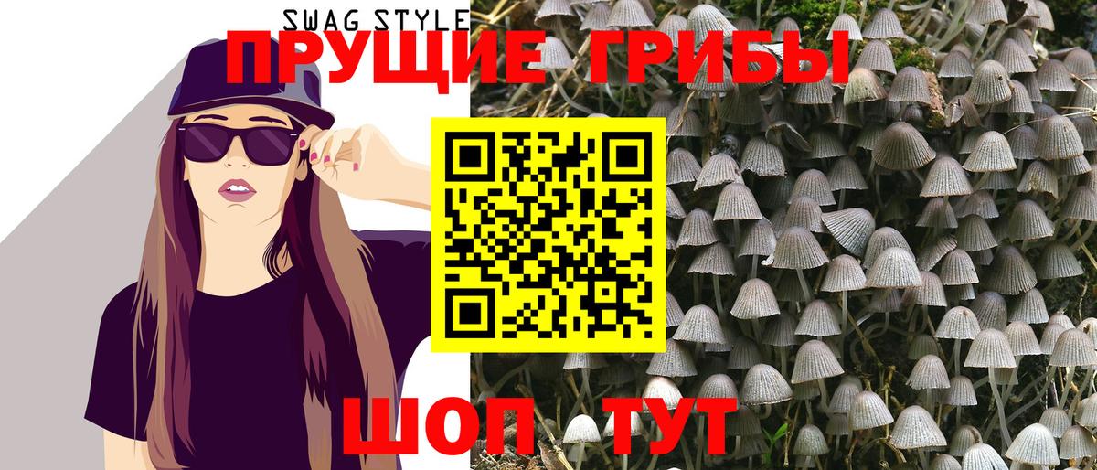 Москва  Псилоцибиновые грибы Magic Shrooms  Вход с VPN 