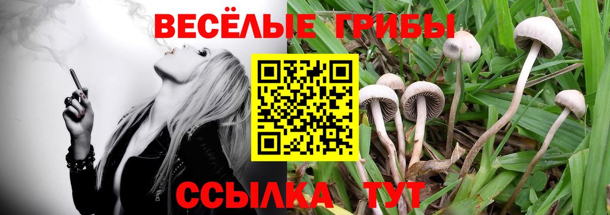 Псилоцибиновые грибы MAGIC MUSHROOMS Москва